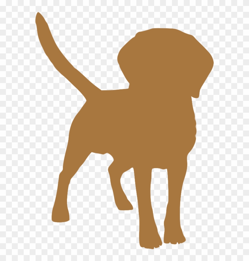 Clipart Silhouette Animaux - Dog Shakes Water Off #1655547