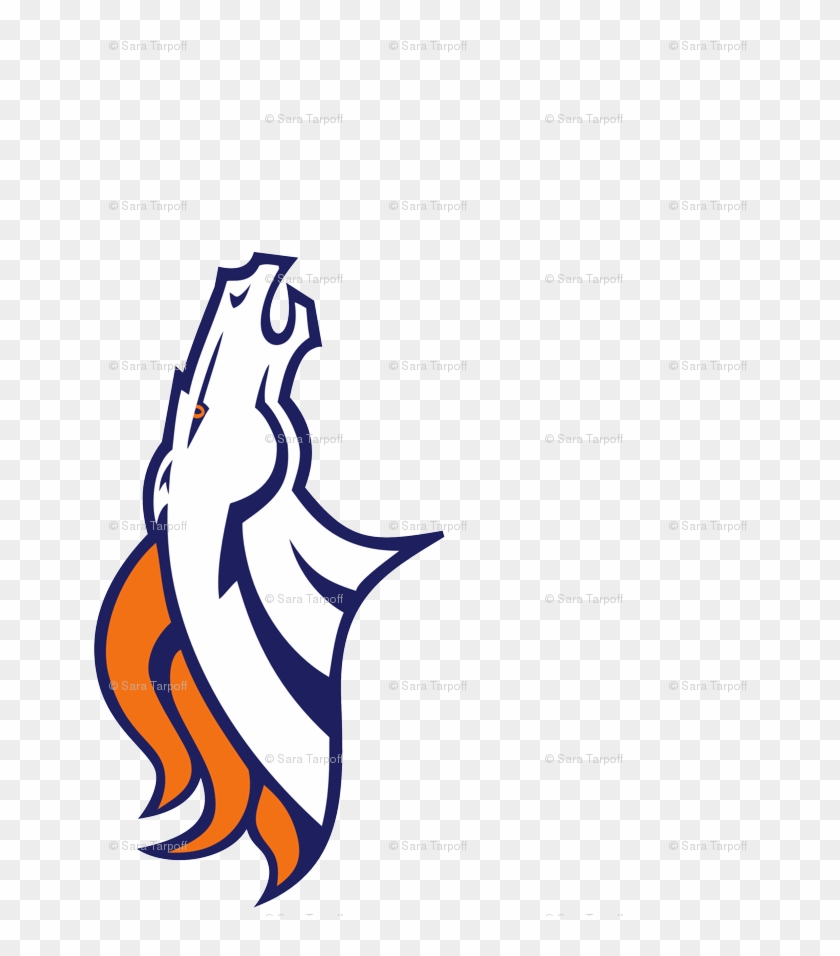 Denver Broncos #1655590