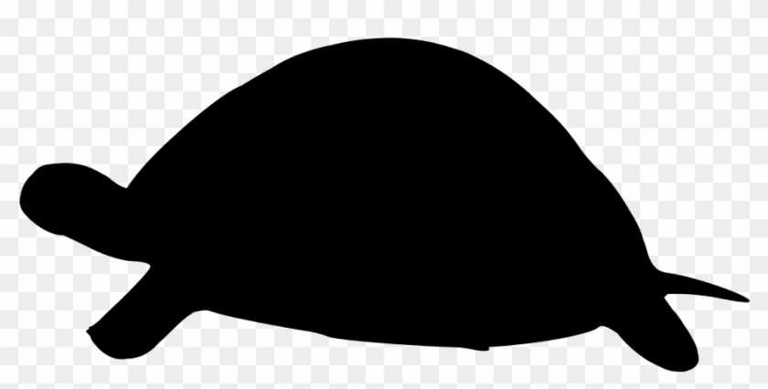 Turtle Iconsvg Wikimedia Commons - Turtle Iconsvg Wikimedia Commons #1655950