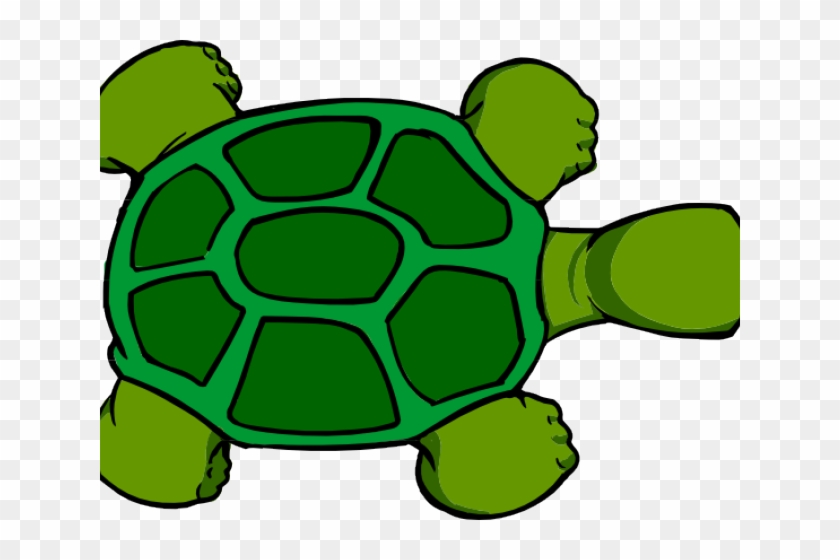 Tortoise Clipart Top View - Cartoon Turtle Shell #1655952