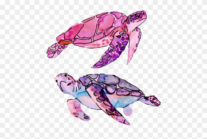 Drawing Colored Sea Turtle #1655953