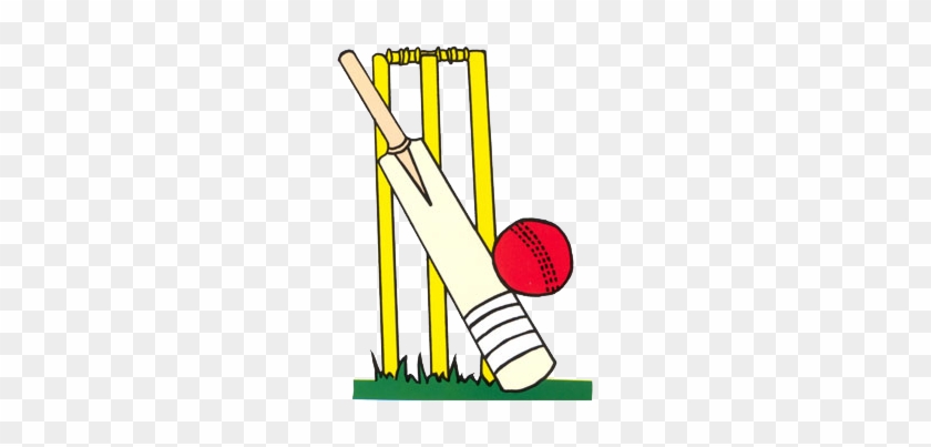 Hastings Cricket Club Is Looking For Expressions Of - Cricket Bat And Ball #254813