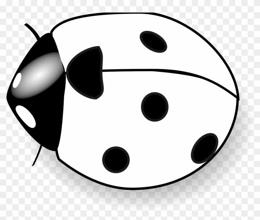 Black Bug Clipart - Clipart Of Lady Bug #254877