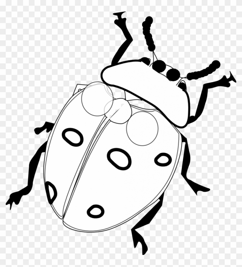 Cartoon Clipart Of A Black And White Happy Ladybug - Ladybird Black And White #255821