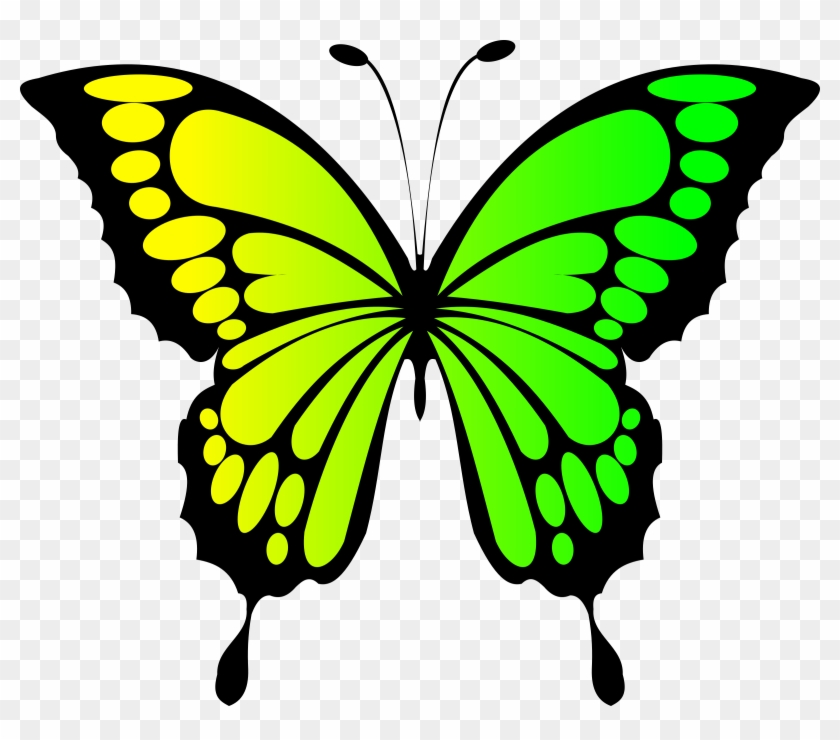 Clip Art Butterfly Green Clipart Yellow Pencil And - Dibujos De Mariposas A Color #256101