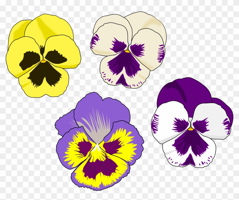 Pansy Clipart - Pansy Flower Clip Art #256165