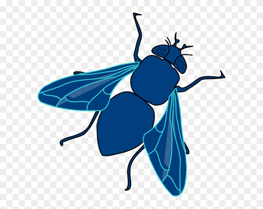 Clipart Images Of A Fly - Cartoon House Fly #256268