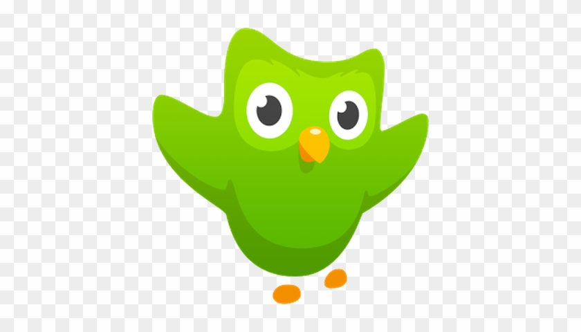 Duolingo Czech - English Vocabulary - Logo De Duolingo #256719