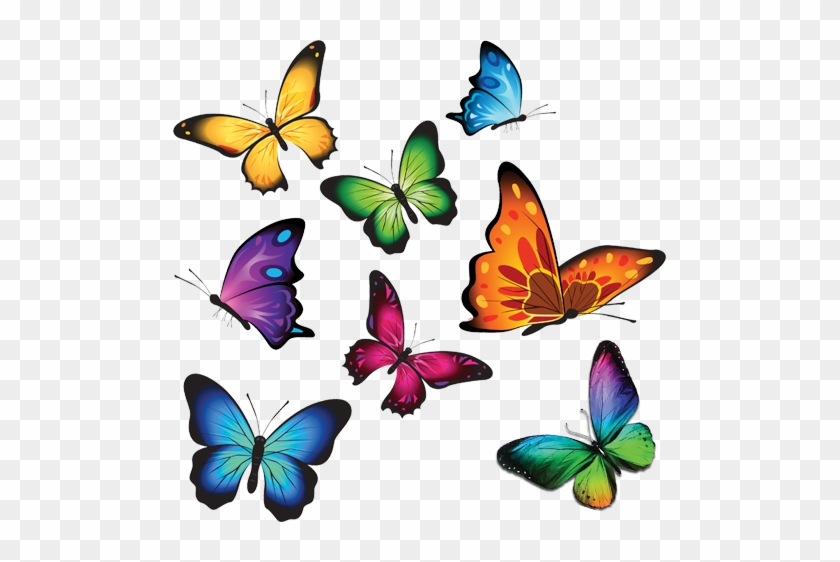 Why Choose Ot - Watercolor Butterfly Clipart #256842
