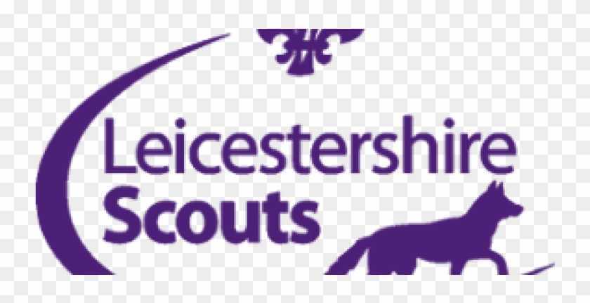 Appointment Process For Managers - Scouting #1656224