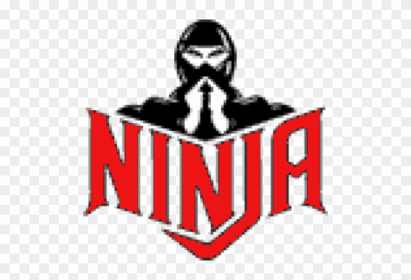 Ninja Six Flags Logo #1656411