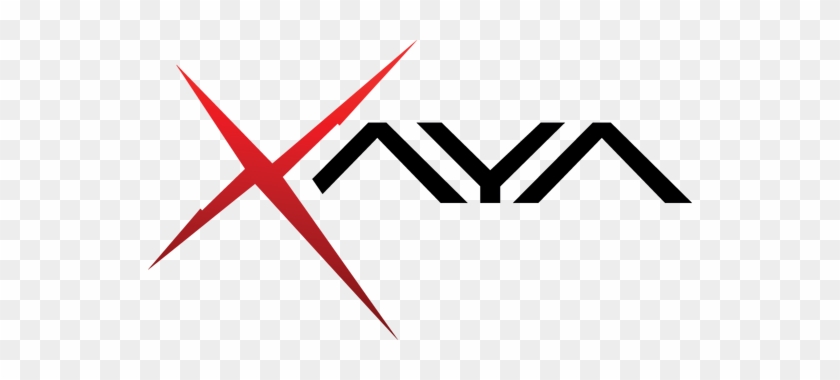 Missed Out On The Private Sale No Problem - Xaya Ico #1656484