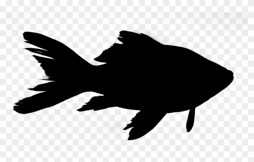Current Events - Fish Silhouette Png #1656564