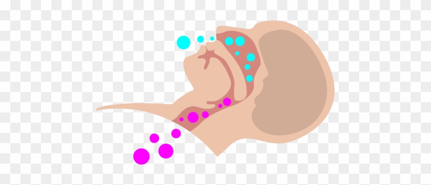 The Sound Your Partner Produces When Snoring While - The Sound Your Partner Produces When Snoring While #1657093