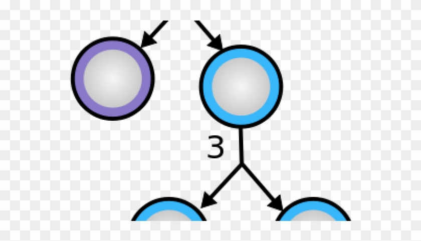 The Procedure - The Procedure #1657184