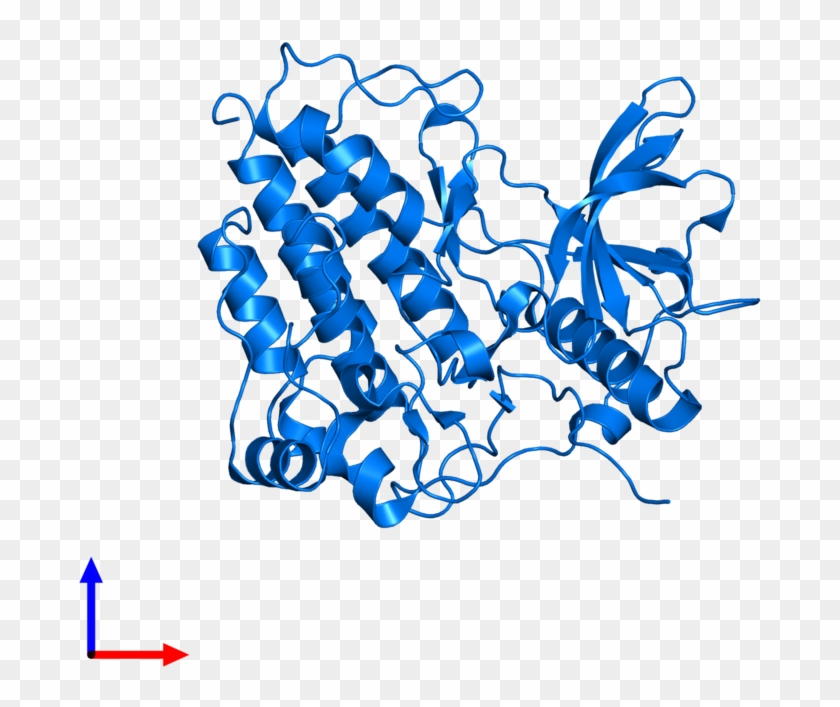 <div Class='caption-body'>pdb Entry 1t45 Contains 1 - Illustration #1657209