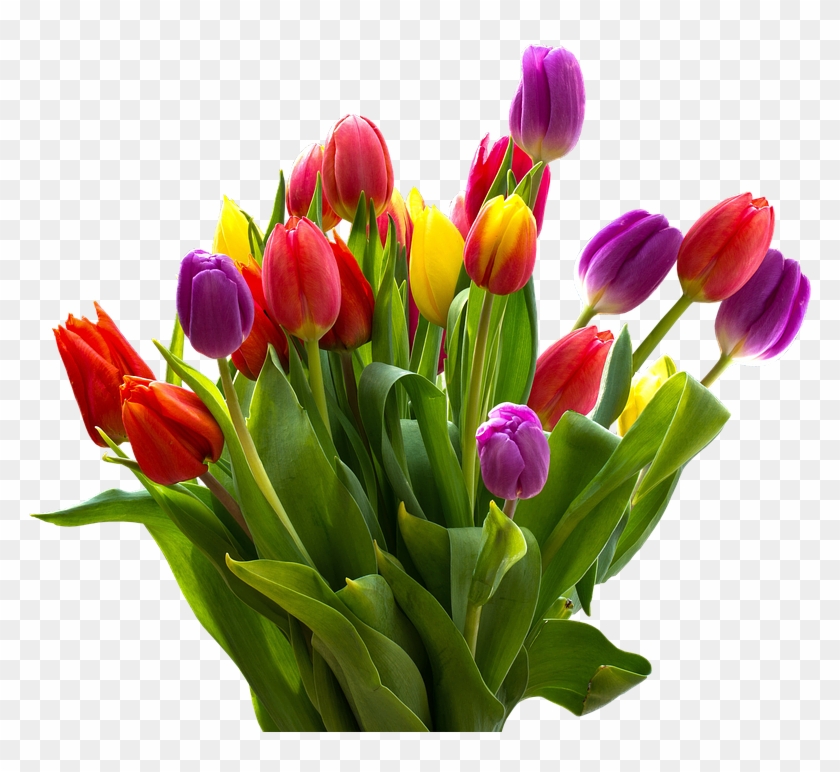 Easter Flower Png Transparent Images - Heart Love Tulips #1657386