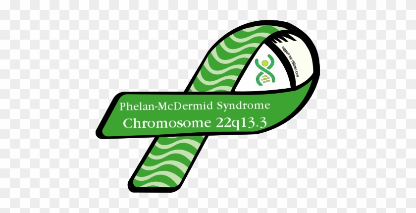 Phelan-mcdermid Syndrome Treatment Commences Clinical - Ia Survivor Of Domestic Violence #1657833