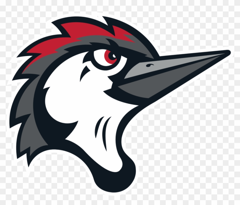 Logo Elements Symbolizing Two Of The Region's Most - Fayetteville Woodpeckers #1658045
