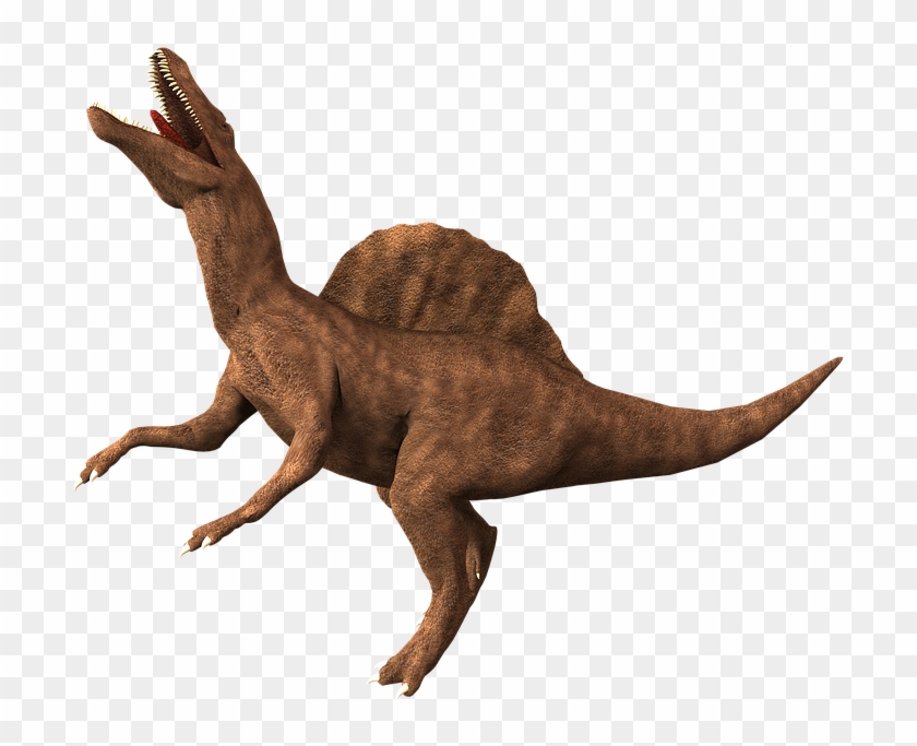 Prehistoric Times Images - Dinosaurs Pic Transparent #1658118