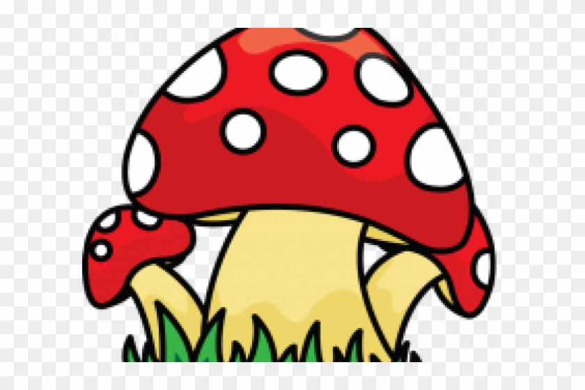 Drawn Mushroom Wild Mushroom - Mushrooms Draw Png #1658180