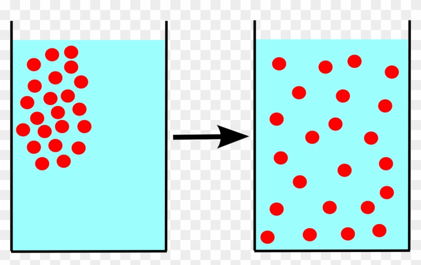 Biology Leaving Cert Lc - Definition Of Diffusion #1658264