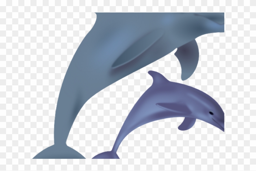 Spinner Dolphin Clipart Marine Biologist - Dolphin Christmas Clipart #1658310