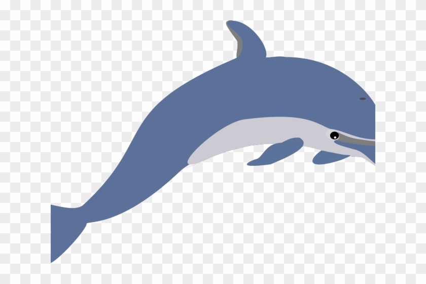 Spinner Dolphin Clipart Marine Biologist - Dolphin Clip Art #1658315