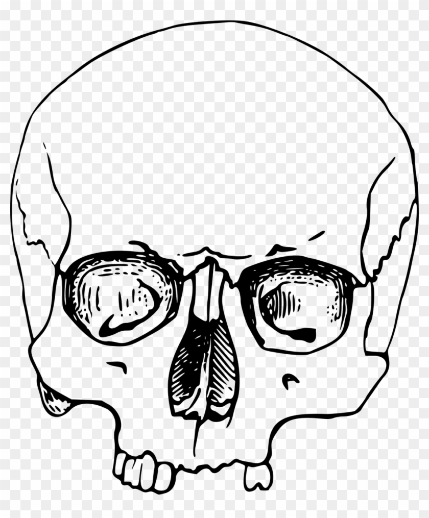 Vector Graphics,free Pictures - Dead Head Png #1658449