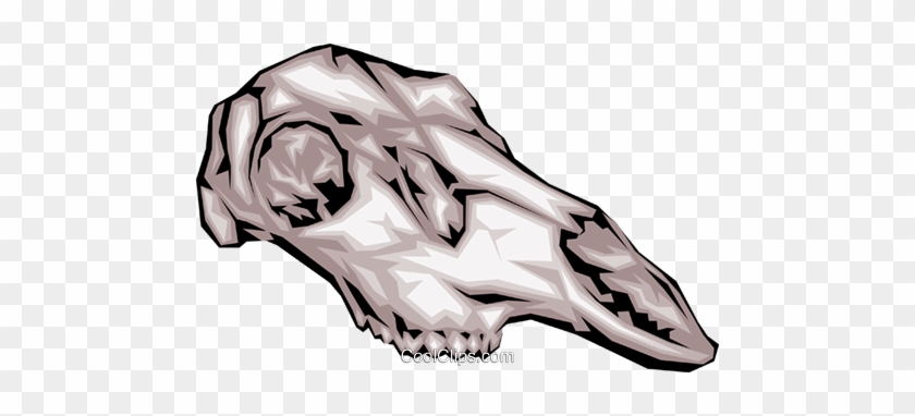 Animal Skull Clipart At - Animal Skull #1658462