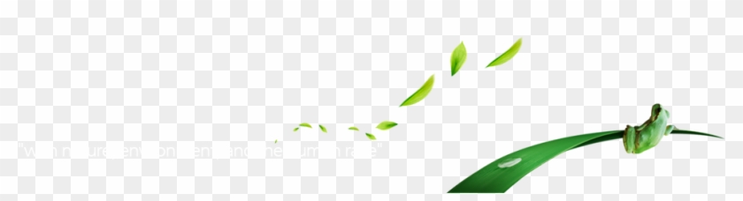 Sunsin Sub Image - Sunsin Sub Image #1658473