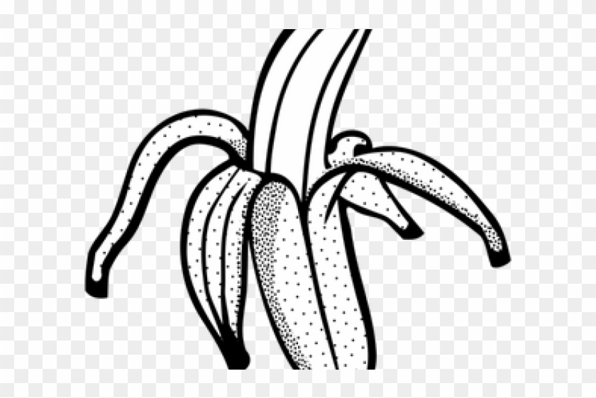 Banana Pudding Clipart Bunch Banana - Clip Art Black And White Of Banana #1658506