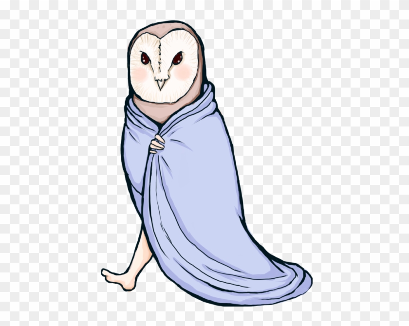 500 X 641 1 - Barn Owl #1658603