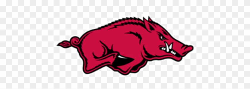 Arkansas Razorbacks #1658853