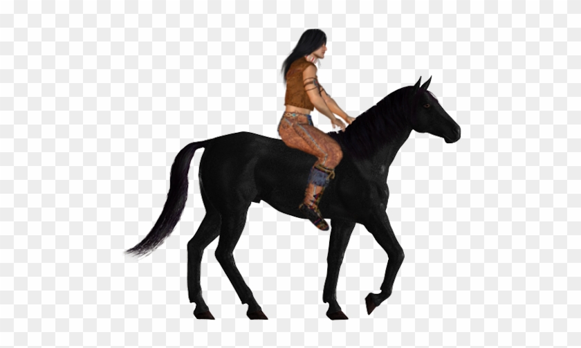 Nt-06 - Stallion #1659075