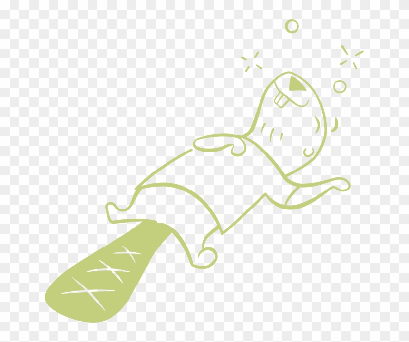 Escape To The Little Beaver Inn, Where Wilderness & - Escape To The Little Beaver Inn, Where Wilderness & #1659113