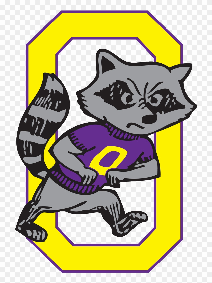 The Oconomowoc Raccoons Defeat The Beaver Dam Golden - Domestic Short-haired Cat #1659132