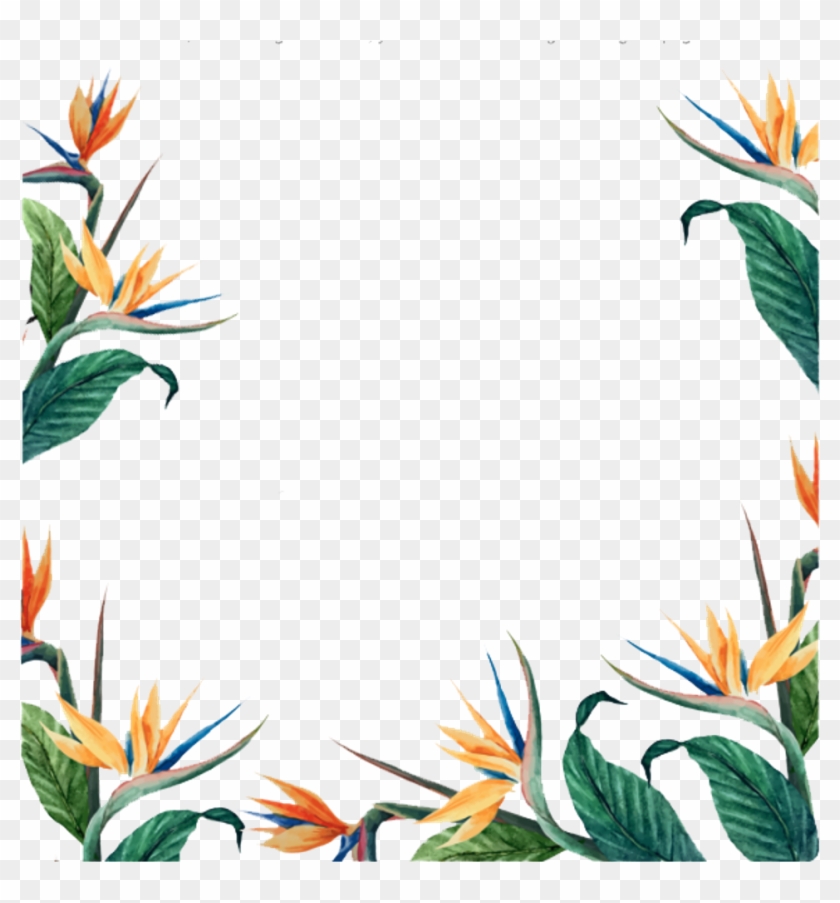 Freetoedit Ftestickers Flowers Floralborder - Frame Modern Png #1659238