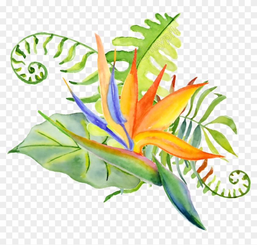 Clip Art Free Library Hand Painted Ornamental Plant - Bouquet Leafe #1659253