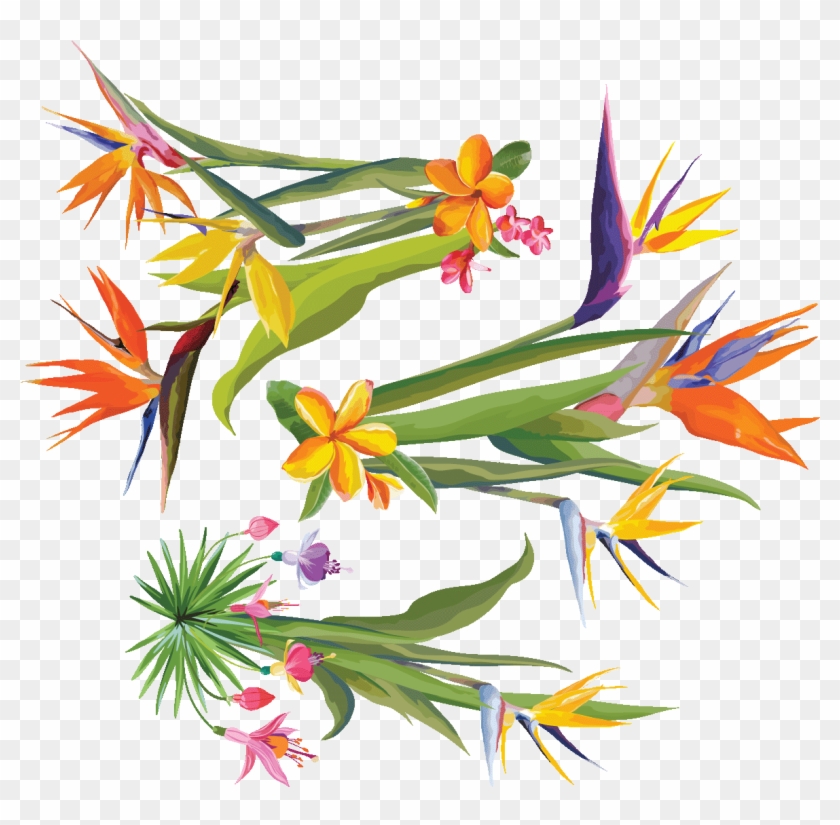 Sticker Fleurs Tropicales Trois Bouquets Des Oiseaux - Bird Of Paradise #1659258