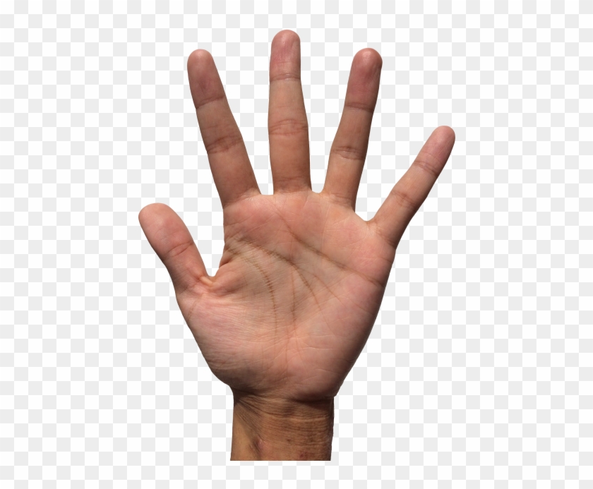 Hand Png Transparent Image Transparent Background - Hand Png Transparent #1659355