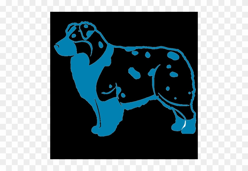 Aussie - Companion Dog #1659546