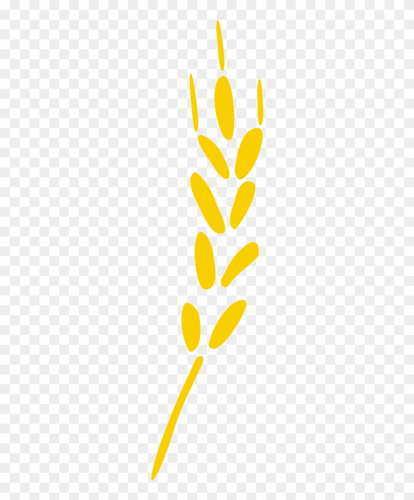 Wheat Sheaf Flourish - Wheat Sheaf Flourish #1659818