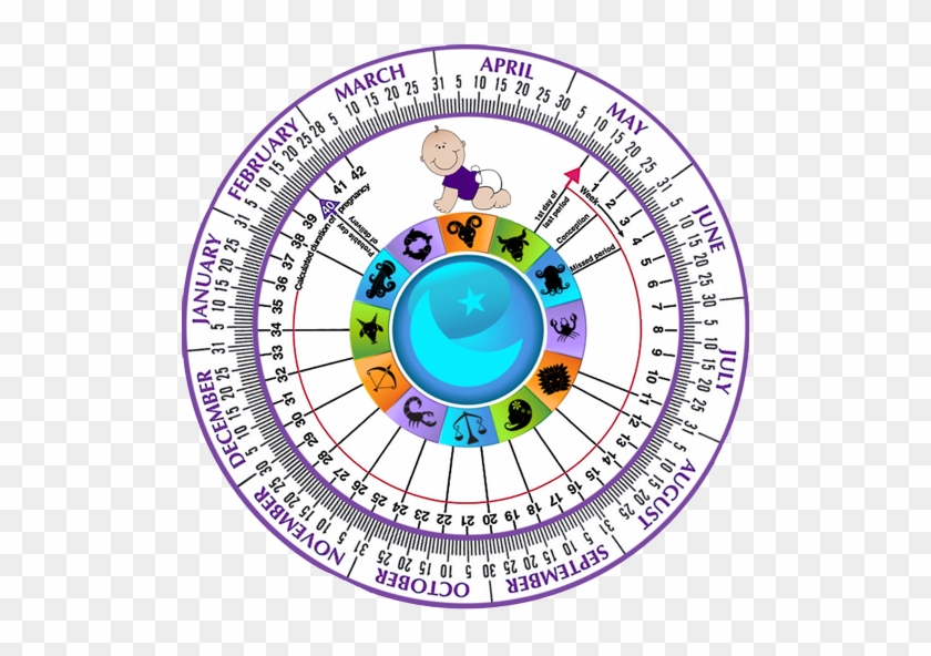 Pregnancy Due Date Calculator - Pregnancy Due Date Wheel #1659850