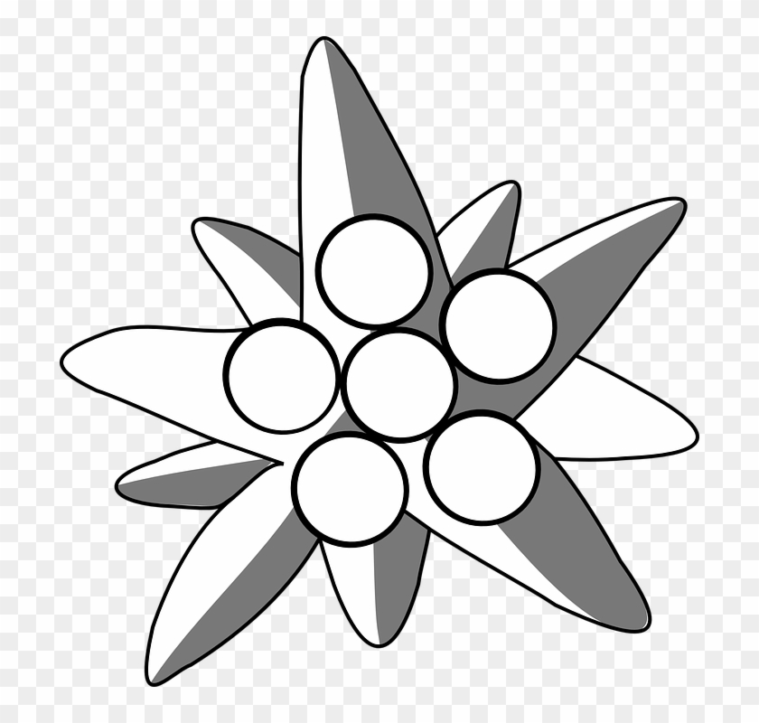 Edelweiss Png - Edelweiß Transparent #1659924