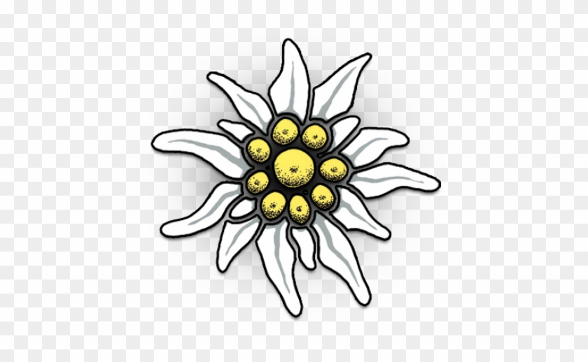 Edelweiss Png - Edelweiß Png #1659930