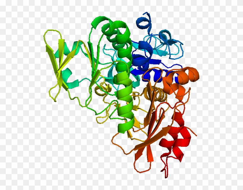 Apoptosis Inducing Factor #1660139