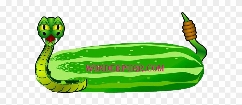 Cucumbers Contain Most Of The Vitamins Hoomons Need - Pepino Animado Png #1660253