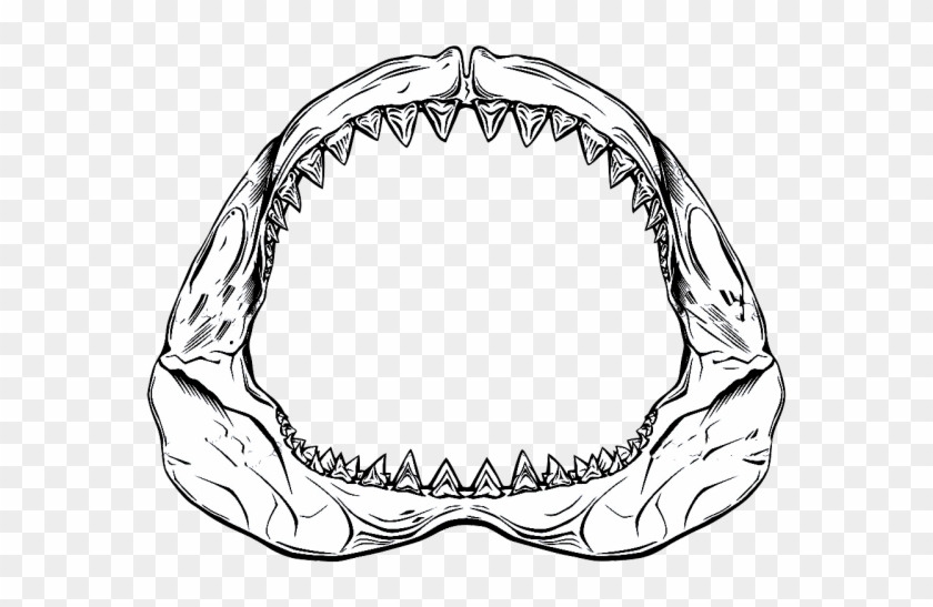 Drawn Shark Jaws Shark - Drawing Of Shark Jaws #1660956