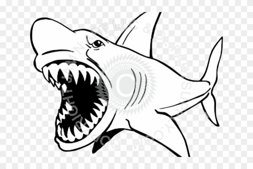 Black And White Shark Clip Art #1660983